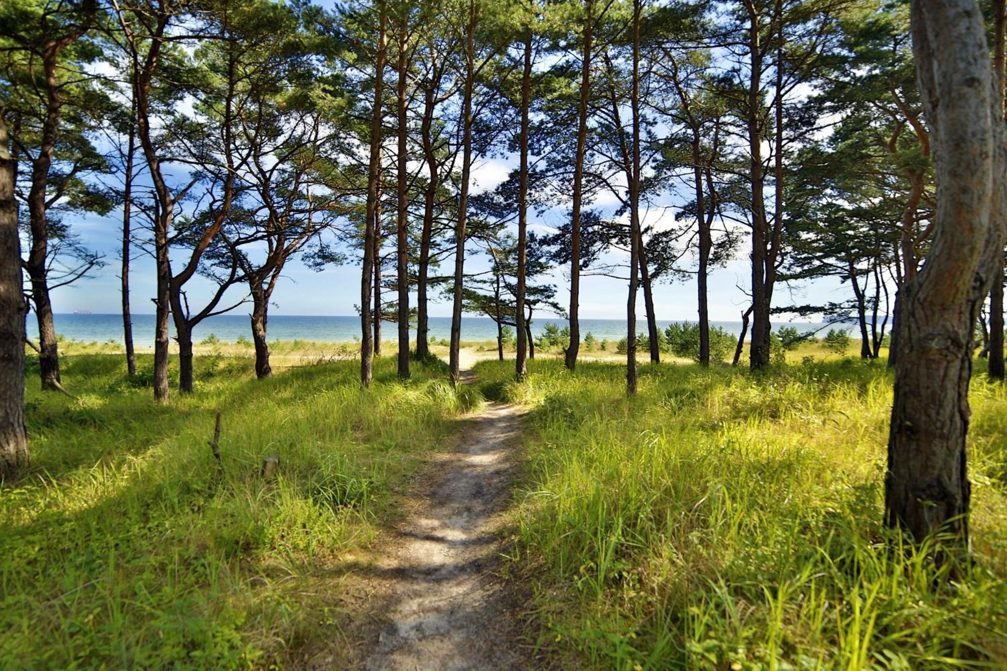 Ferienwohnung Sonnenschein Haus Hiddensee Prora Binz Esterno foto